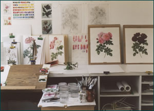 Christine Stephenson's Studio.