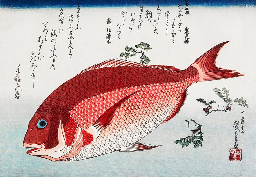 Japanese art ukiyo-e. Japanese red Sea Bream fish by Utagawa Hiroshige.