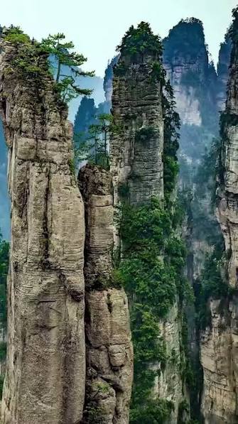 China's Shilin Stone Forest in Yunnan Province was carved by rain. 270 million years ago this was a shallow tropical sea.